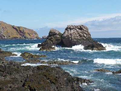 St Abbs Head