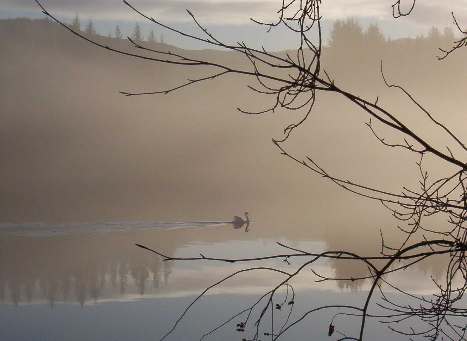 Mist of the Loch